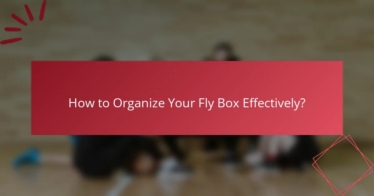 How to Organize Your Fly Box Effectively?