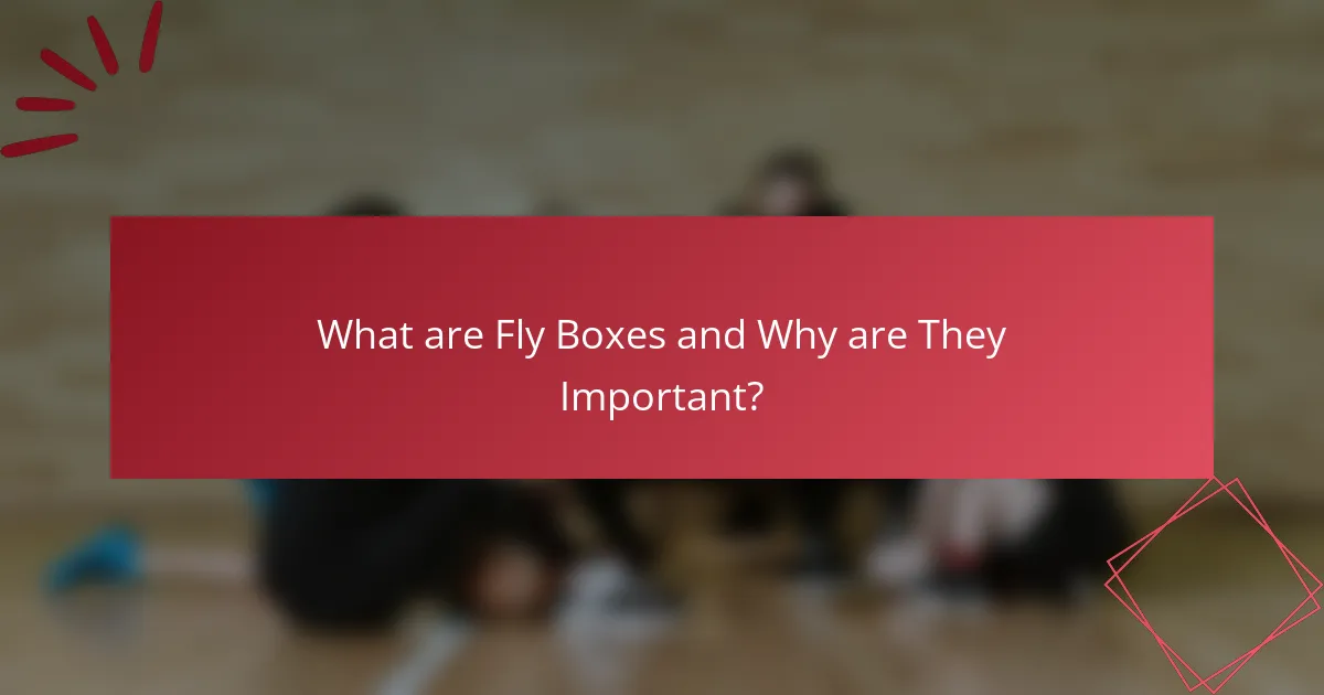 What are Fly Boxes and Why are They Important?
