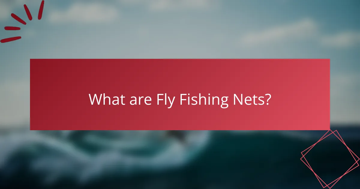 What are Fly Fishing Nets?