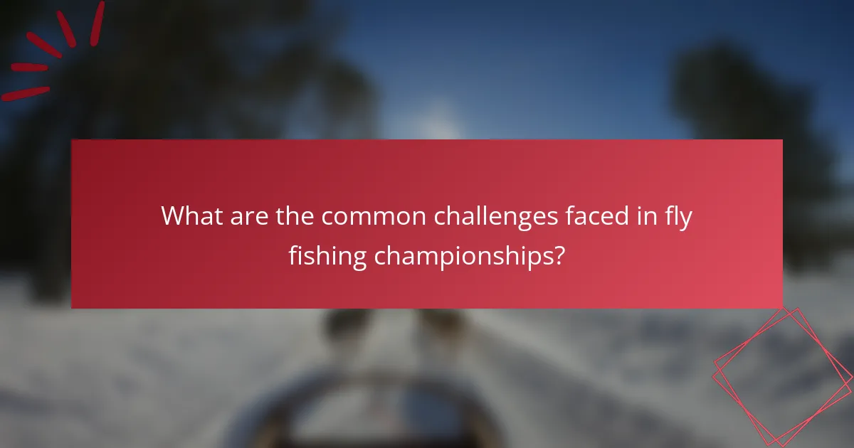 What are the common challenges faced in fly fishing championships?