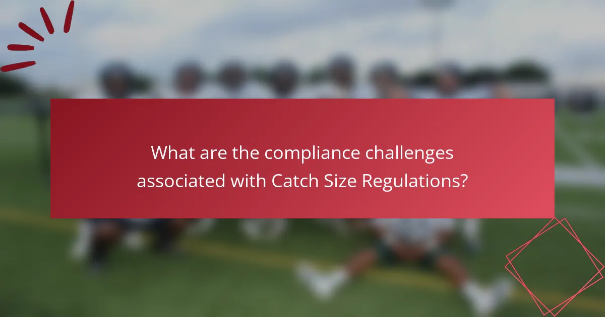 What are the compliance challenges associated with Catch Size Regulations?