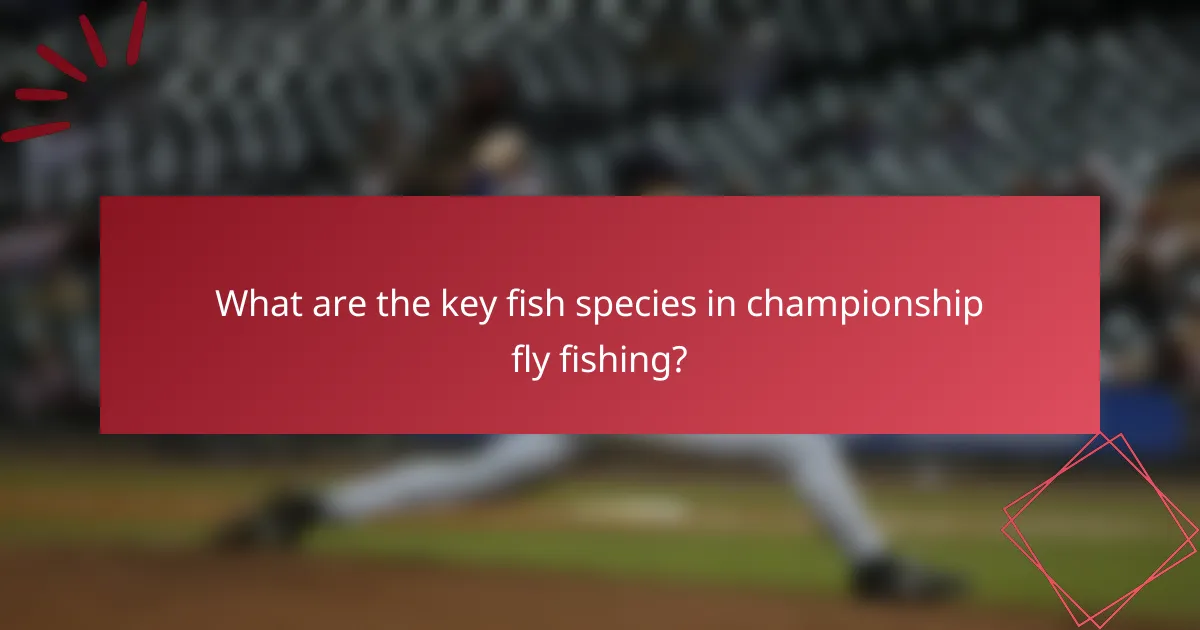 What are the key fish species in championship fly fishing?