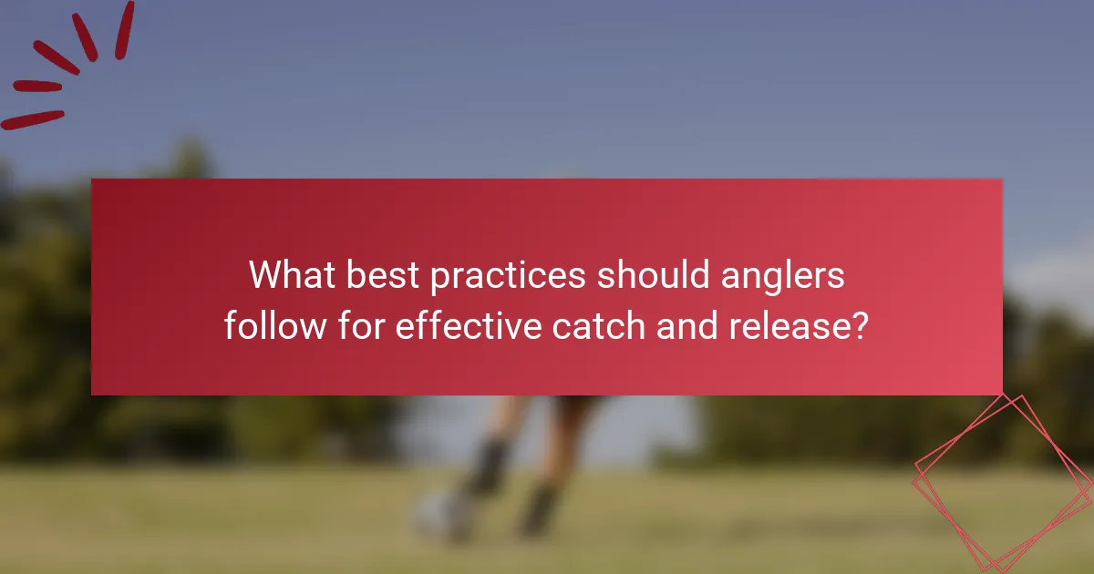 What best practices should anglers follow for effective catch and release?