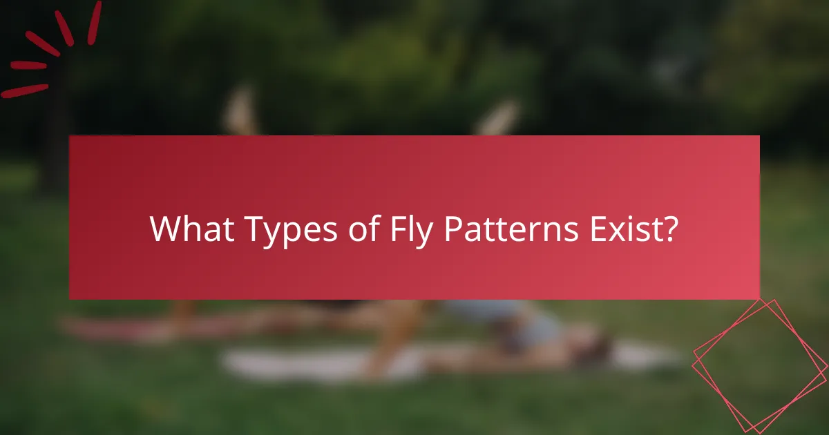 What Types of Fly Patterns Exist?